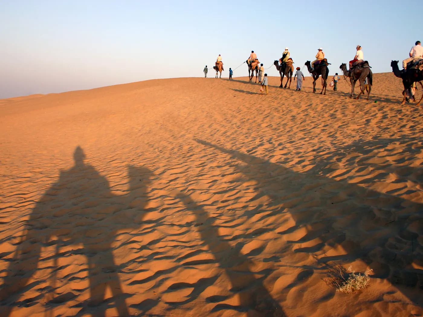 A camel caravan carrying riders up a sunlit dune in the Thar desert