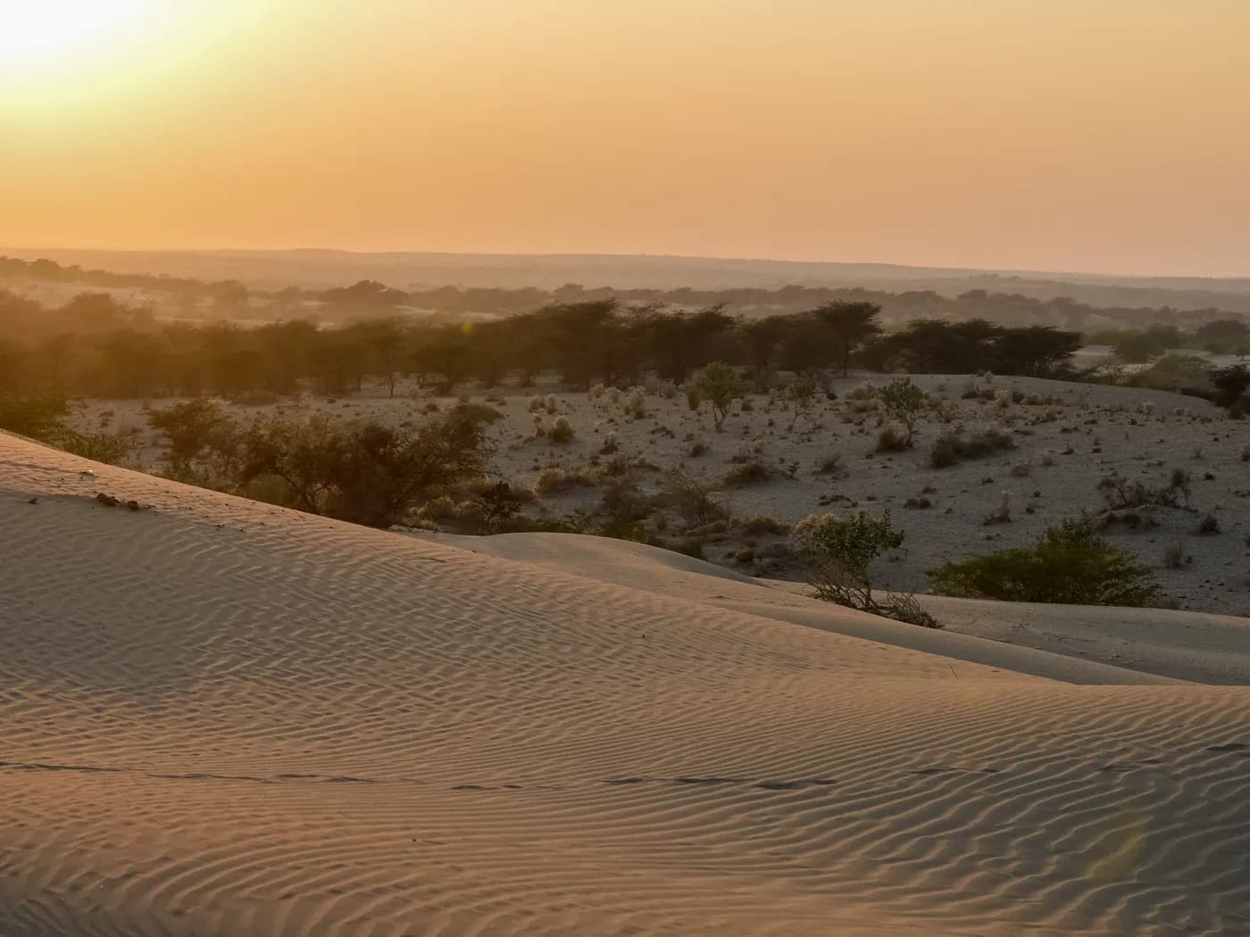 Wind-rippled sand dunes at Sam stretching towards the horizon