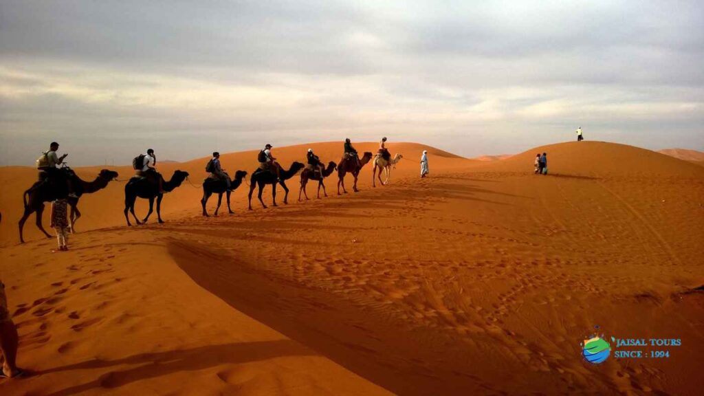 Desert Safari and Camel Ride